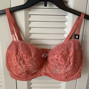 NWT Dream Angels Wicked Lace Unlined Push-Up